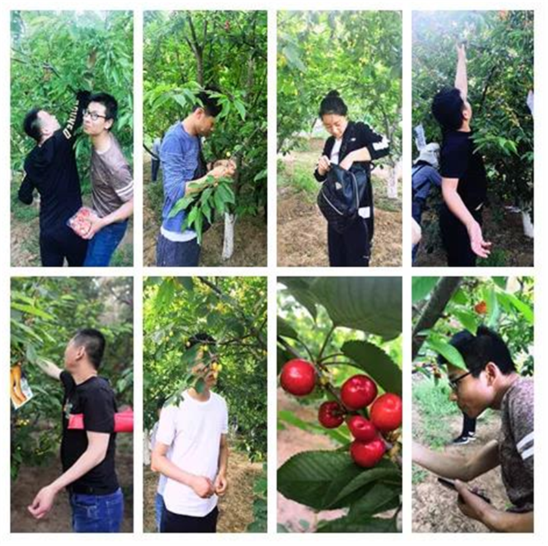 5cda1a939216a.png 5cda1a939216a.png